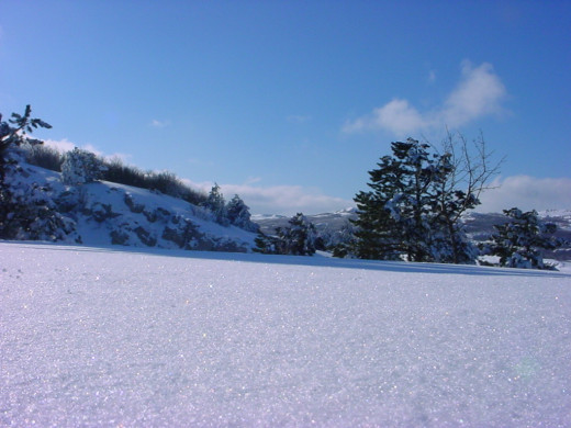 33943 (a): :1024x768